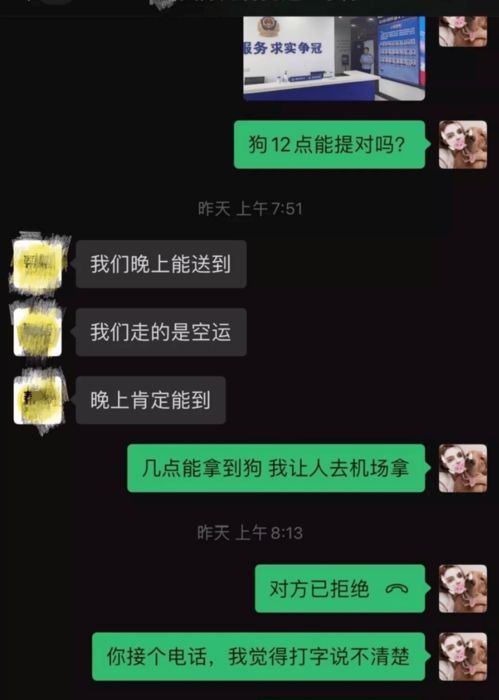 宠物狗托运途中活活热死 涉事公司说 6000元买你 狗命 ,满意吗