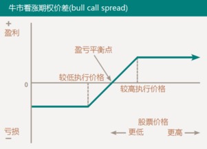 期权交易有哪些基本策略