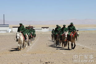 西藏日喀则仲巴亚热乡天气预报