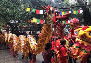 好嗨哟 今天桂平这个地方有舞狮,还有精彩的舞龙表演..