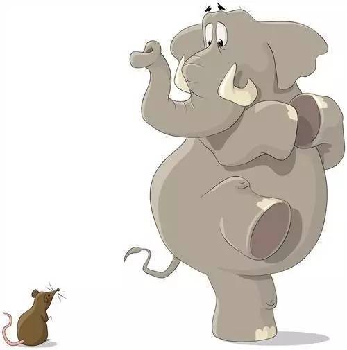 大象到底怕不怕老鼠 