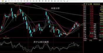 求高手帮忙:对近期中国远洋这只股票进行基本面和技术面分析