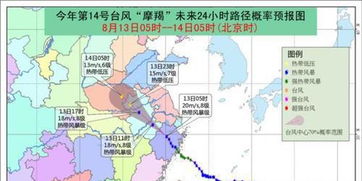 14号台风 摩羯 将于今晚进入河南 局部有特大暴雨