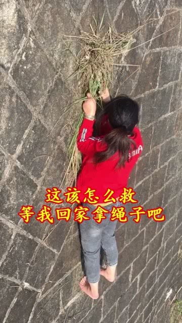 大家有什么好办法吗,再不救就掉下去了 