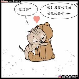 小奶猫被坏人欺负了怎么办