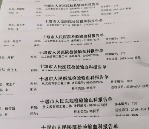 从文167名教职工全部通过核酸检测,张湾茅箭两区领导视察从文复学防控工作