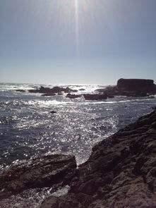 海滩,岸,海岸,岩,海,海洋,夏天,禅宗 