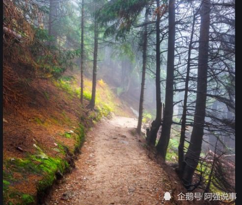 浙江一女子过年爬山,迷路误入一片坟地,差点夜宿坟地