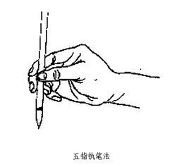 我写毛笔字时,笔尖容易分开,怎幺预防 