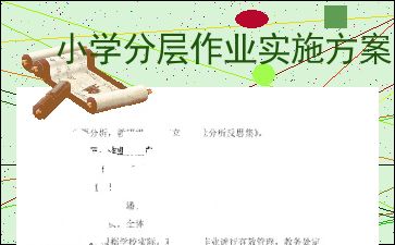 小学分层作业实施方案 