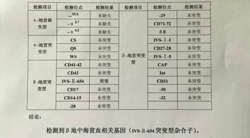 产前筛查重要时刻：孕妈妈必知的检查清单