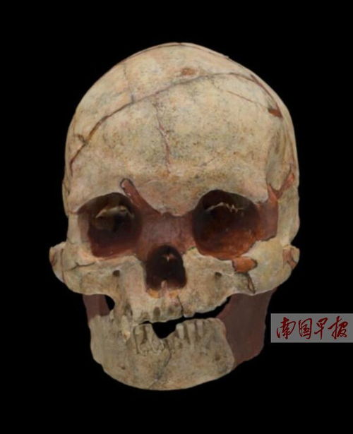 广西隆安娅怀洞遗址曝重大发现 发现人头骨化石