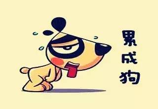 对不起,我不想再干农资了 说的太实在了