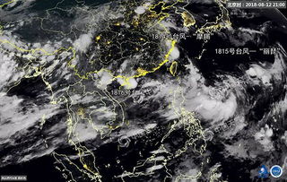台风 摩羯 登陆浙江,今明两天全国6省市将有强风雨