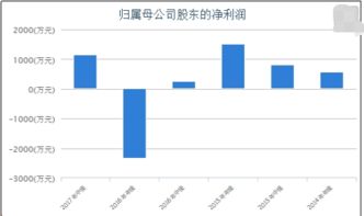 属母公司净利润是啥意思