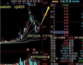 日均线v型反转后第二天怎么股价跌了