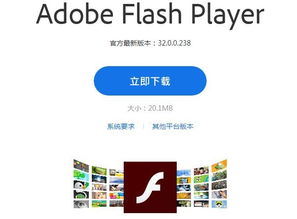 请问flash有哪些主流的技术?