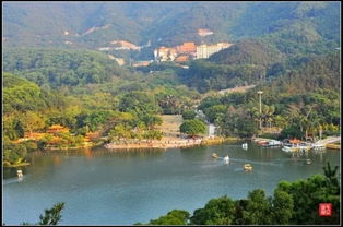 洪国珍 深圳弘法寺风水大局 