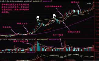 中国股市有里那些大庄家是特别出名的吗?