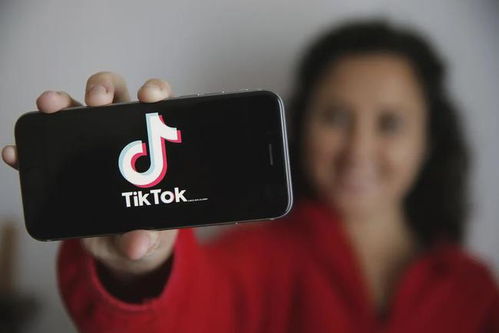 手机装tiktok_TikTok引流模式