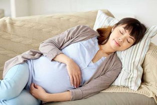 怀孕老想睡觉是怎么回事 3原因导致孕妇嗜睡