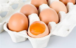 老年人忌吃鸡蛋 孕妇吃越多越好 你对鸡蛋还存在这些误区 
