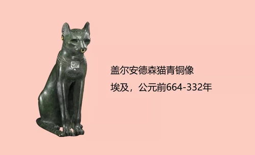 青铜猫壁纸手机怎么搞(青铜猫代表什么)