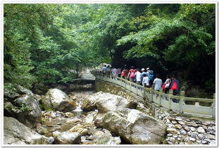 深山峡谷中的风景