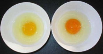 鸡蛋的蛋清变黄还能吃吗
