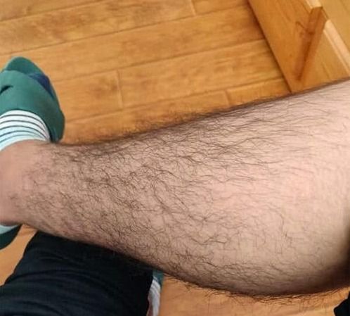 男人腿毛很多说明什么 性能力会更强吗 准确答案在这里