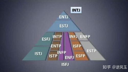 大家好,我的MBTI人格是 IMSB 