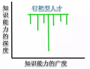 IT行业企业究竟需要什么样的人才?