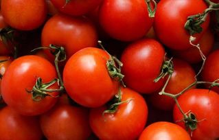 什么病不能吃西红柿吗 西红柿吃多了湿气重吗