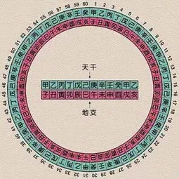 说文解字 甲 乙 丙 丁 戊 己 庚 辛 壬 癸 