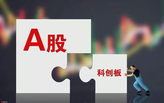 为什么明知道上市公司发行股票会大跌证监会还要同意呢