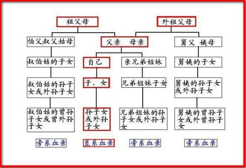 社会保险法包括哪些法律中华人民共和国社会保险法法律目录