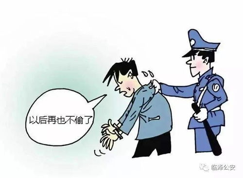 张掖公安破获两起盗窃案