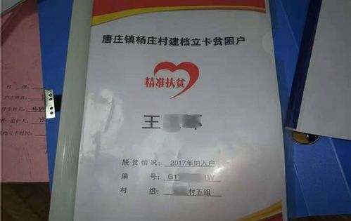 我几年前隐瞒自己的收入办了低保并每月领取低保金，共领了大概五年，如今被发现了，我会被怎样处罚呢？