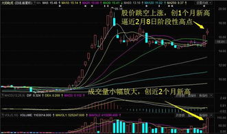 太阳电缆：曝光主力控盘阴谋，是该买进还是需要卖