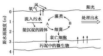 污水水量与水池的比例关系