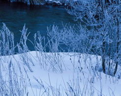 冬天的句子描写冬天的句子,描写镜泊湖的景色的句子,描写镜泊湖的优美句子