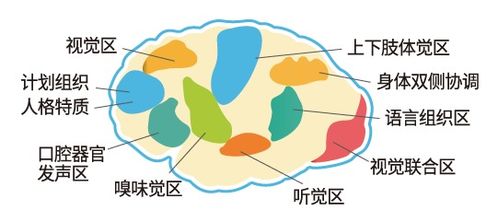 孩子注意力差 自理能力弱 情绪不稳定 元凶原来是它