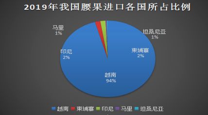 深耕 东兴口岸通道 构建腰果产品供应链