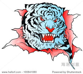 grunge tiger head vector