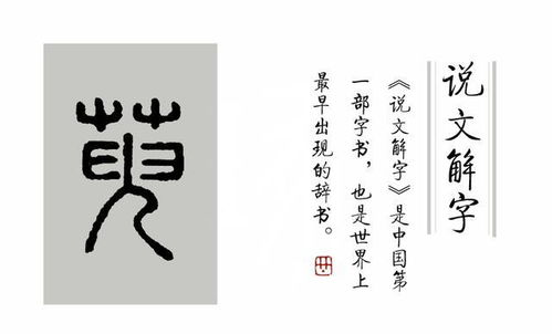 说文解字 第78课 遍插茱萸少一人 里的茱萸是什么