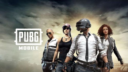 pubg怎么调中文(绝地求生游戏内如何改中文)