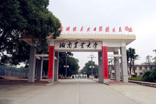 湖南农业大学设计艺术学院