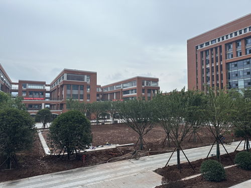 三明学院改名海西大学(三明市有哪些大专院校)