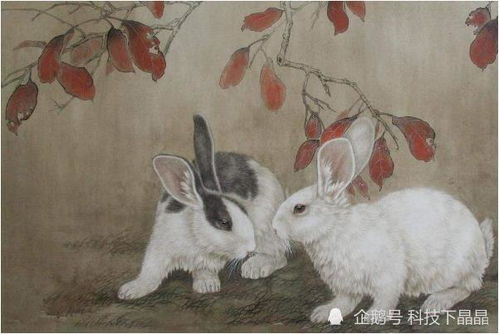 属兔人哪个时辰出生最好命 尤其87 75年的,一生的吉祥富贵运