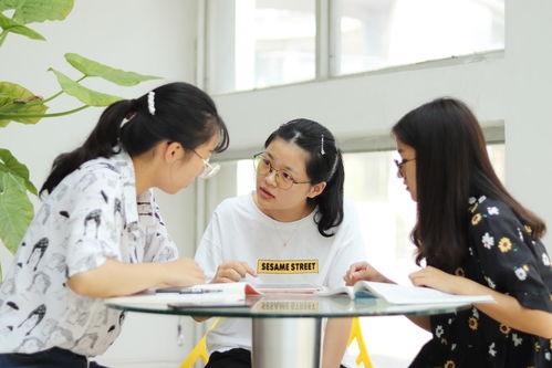 广州大学考研自考生多少人,广州大学考研招生人数